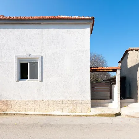 Kostas Nest